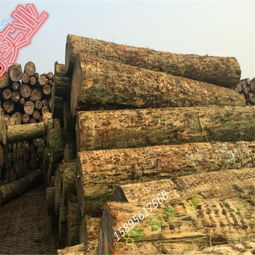 廠家直銷(xiāo)精品輻射松工地木材 品質(zhì)、優(yōu)勢(shì)與家具應(yīng)用